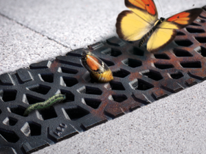 Immagine griglia ACO Self Euroline installata