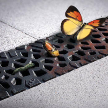 Immagine griglia ACO Self Euroline installata