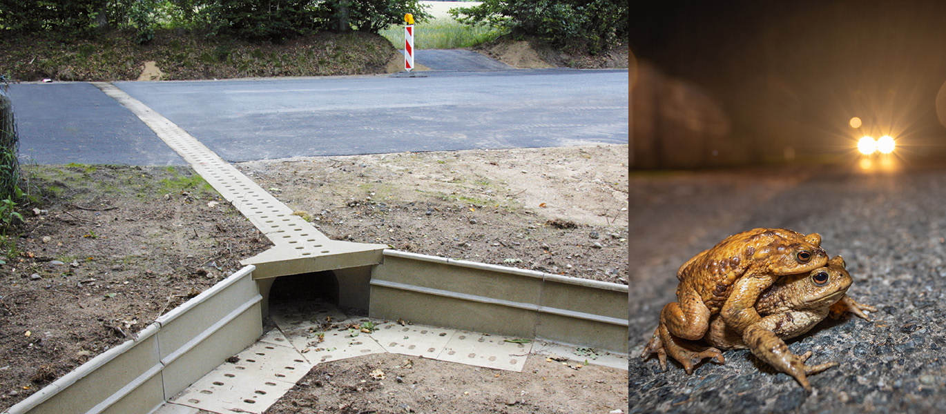 Immagine tunnel ACO Wildlife installato